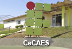 cecaes miniatura